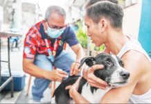 PhilHealth animal bite package covers P5,850 for services against highly fatal rabies The Philippines recorded 426 rabies cases, of which about 193 or 45 percent were bites from domestic pets, according to the Department of Health. PHOTO COURTESY OF ABS-CBN NEWS