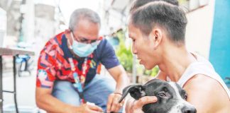 The Philippines recorded 426 rabies cases, of which about 193 or 45 percent were bites from domestic pets, according to the Department of Health. PHOTO COURTESY OF ABS-CBN NEWS