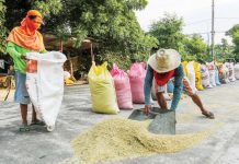 Palace backs DA’s call to let NFA hike rice volume purchases The National Food Authority currently buys dry and clean palay at P24 per kilo and fresh and wet palay at P18 per kilo. PHOTO COURTESY OF ABS-CBN NEWS