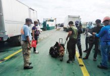 Planned transfer of Dumangas roro operations to Fort San Pedro sparks heritage concerns Personnel of the Philippine Drug Enforcement Agency Region 6, Philippine Coast Guard and Dumangas K9 Unit conducted random paneling and K9 inspection operation at Dumangas Port in Barangay Sapao, Dumangas, Iloilo. PDEA-6 PHOTO