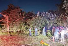 Pavia police nab suspect in ‘tanod’ slay Barangay tanod Carmelino Minor Jr. was found dead with a gunshot wound on his upper left shoulder on Saturday night, March 22, 2025 in Barangay Amparo, Pavia, Iloilo. RMN Iloilo Photo