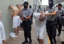 US deports more alleged gang members to El Salvador Several prisoners are lined up against the wall as masked guards move a shackled prisoner in Tecoluca, El Salvador last week during a visit by US Homeland Security Secretary Kristi Noem. REUTERS