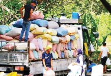 NFA says rice buffer stock hits 5-year high The National Food Authority has so far spent only P2.6 billion of the P14.6 billion available for palay procurement. NFA FILE PHOTO
