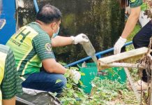 Dengue death toll in Iloilo Province rises to 8 as cases soar to 1,431 Personnel of the Municipal Health Office of Dueñas, Iloilo join the “Alas-Kwatro Kontra Mosquito” campaign that aims to destroy mosquito breeding grounds. DUEÑAS MUNICIPAL HEALTH OFFICE PHOTO