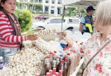 DA mulling MSRP for garlic, eggs The Department of Agriculture says the country imports around 95% of the garlic it consumes. Photo shows garlic and anchovies being sold at the Aurora Park in Laoag City. PHOTO BY LEILANIE G. ADRIANO