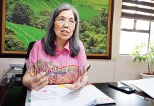 NFA to buy 1M bags of ‘palay’ from WV Farmers Jasmin Lintag, manager of the National Food Authority – Region 6, assures the public that rice being distributed by the agency is of good quality and well-milled. Consumers should have no concerns over product standards, she says. IME SORNITO/PN
