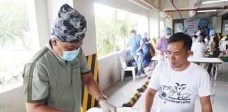 Iloilo Provincial Veterinary Office head Dr. Darel Tabuada performs a castration procedure on a cat during the “Neutering for Cats and Dogs” activity held Monday, April 8, as part of the 124th Semana sang Iloilo celebration. The initiative, which serv ed around 100 pets, aims to promote responsible pet ownership and help reduce the risk of rabies in Iloilo. PHOTO BY AJ PALCULLOIloilo Provincial Veterinary Office head Dr. Darel Tabuada performs a castration procedure on a cat during the “Neutering for Cats and Dogs” activity held Monday, April 8, as part of the 124th Semana sang Iloilo celebration. The initiative, which serv ed around 100 pets, aims to promote responsible pet ownership and help reduce the risk of rabies in Iloilo. PHOTO BY AJ PALCULLO