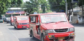 The looming return of unconsolidated jeepneys has sparked concern among Iloilo’s consolidated transport groups, which already account for 93 percent of the city’s jeepney operations under the government’s modernization program. Having already invested heavily in the program, they fear financial losses and unfair competition. AJ PALCULLO/PN