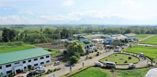 Photo courtesy of the Provincial Government of Negros Occidental