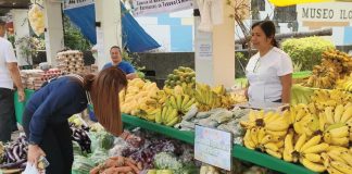 As part of the 124th Semana sang Iloilo, a Trade and Agricultural Fair and Exhibit opened at the Iloilo Provincial Capitol Grounds. Local products from farmers — including fruits, vegetables, dried fish, flowers, delicacies, and more — are available for purchase. AJ PALCULLO/PN