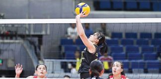 Negrense Cassie Carballo of University of Santo Tomas Golden Tigresses tosses the ball towards teammate Angeline Poyos. UAAP PHOTO