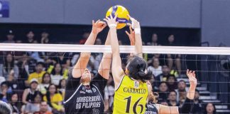 Negrense Cassie Carballo of University of Santo Tomas Golden Tigresses battles University of the Philippines Fighting Maroons’ Kassandra Doering for the ball. UAAP PHOTO