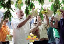 “The Manggahan Festival is more than a tribute to our mangoes. It is a symbol of how far Guimaras has come and where we are heading,” says Gov. JC Rahman A. Nava.