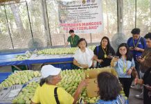 Department of Trade and Industry Undersecretary Mary Jean Pacheco visits Guimaras on May 1, 2025 as part of a joint initiative to enhance the province’s mango supply chain. DTI-GUIMARAS PHOTO