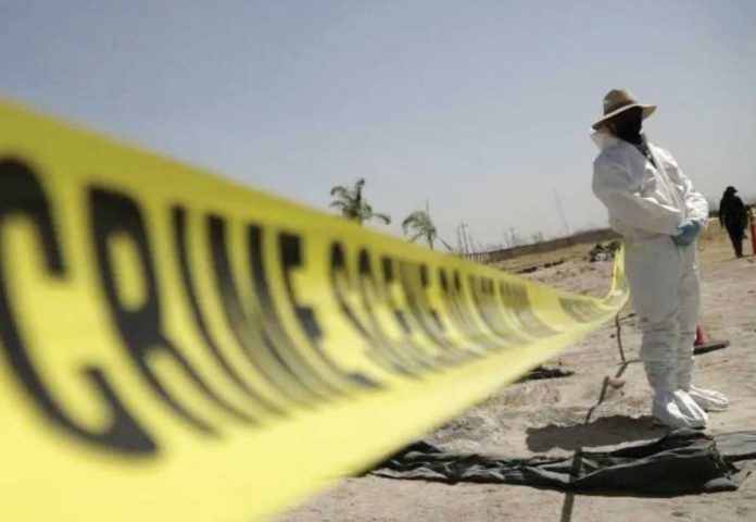 Mexico_1_resized A forensic technician stands next to a cordoned area during a media tour by Jalisco’s Attorney General Office at Izaguirre Ranch, which activists have called a cartel-run "extermination camp," in Teuchitlan, Jalisco state, Mexico. Forensic teams gathered evidence at the site. REUTERS