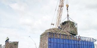Mechanically harvested sugarcane is being loaded into a cane truck for transport to a sugar mill in Kabankalan City, Negros Occidental in this photo taken in February 2025. PNA BACOLOD FILE PHOTO