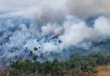 Aerial shot of dense green rainforest with thick clouds of smoke rising up into the air. GETTY IMAGES