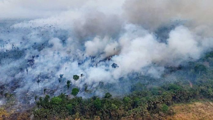 UK_copy_resized Aerial shot of dense green rainforest with thick clouds of smoke rising up into the air. GETTY IMAGES