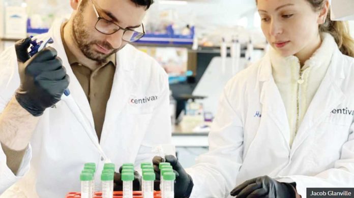 Venom_1_resized Researchers working on developing a universal antivenom. JACOB GNAVILLE