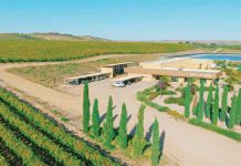 Emperador acquires 470 hectares more of vineyard in Spain, allowing it to boost its grape farming capacity, which currently stands at about 17 million kilos per annum.
