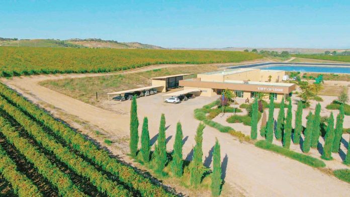 emperador_resized Emperador acquires 470 hectares more of vineyard in Spain, allowing it to boost its grape farming capacity, which currently stands at about 17 million kilos per annum.