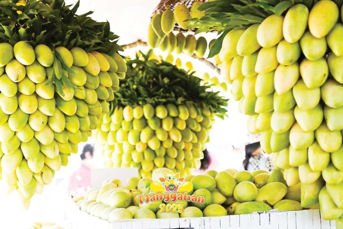 guimaras-mangoes The Department of Trade and Industry's partnership with the Philippine Postal Corporation is about bringing mangoes – the pride of Guimaras – straight to Filipino homes. PROVINCE OF GUIMARAS/FACEBOOK PHOTO