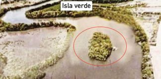Isla Verde is an islet smacked in the middle of the Iloilo River in Barangay Navais, Mandurriao, Iloilo City. Covered by lush mangroves, it is a known sanctuary for wildlife. LPUKIDS IBIKE AND IPADDLE FB PHOTO