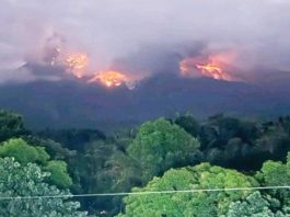 A moderately explosive eruption occurred at the summit crater of Mount Kanlaon at 2:55 a.m. on Tuesday, May 13, 2025, that lasted five minutes. The Philippine Institute of Volcanology and Seismology said the eruption generated a greyish voluminous plume that rose three kilometers above the vent before drifting to the general west. CONTRIBUTED PHOTO/PNA