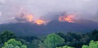 A moderately explosive eruption occurred at the summit crater of Mount Kanlaon at 2:55 a.m. on Tuesday, May 13, 2025, that lasted five minutes. The Philippine Institute of Volcanology and Seismology said the eruption generated a greyish voluminous plume that rose three kilometers above the vent before drifting to the general west. CONTRIBUTED PHOTO/PNA