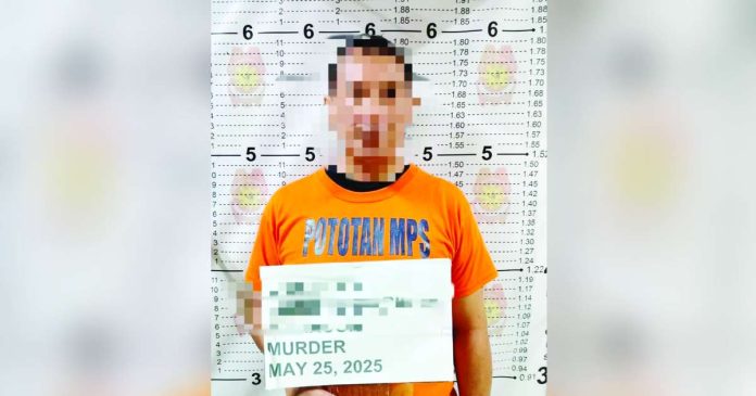 man shot dead in pototan_superimposed Officers of the Pototan Municipal Police Station arrested alias “Pagi”, a resident of Barangay Cato-ogan, Pototan, Iloilo following a shooting incident in the said place on Sunday, May 25, 2025. PHOTO COURTESY OF POTOTAN MPS