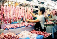 A vendor arranges her display of fresh pork at a public market in Davao City. The Philippines’ pork imports in the first quarter of 2025 accounted for 183.19 million kilograms, mostly consisting of pork cuts and offals. PNA PHOTO BY ROBINSON NIÑAL JR.