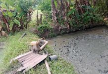 Over P100K worth of catfish stolen from fishpond in Mina Photo courtesy of Mina MPS
