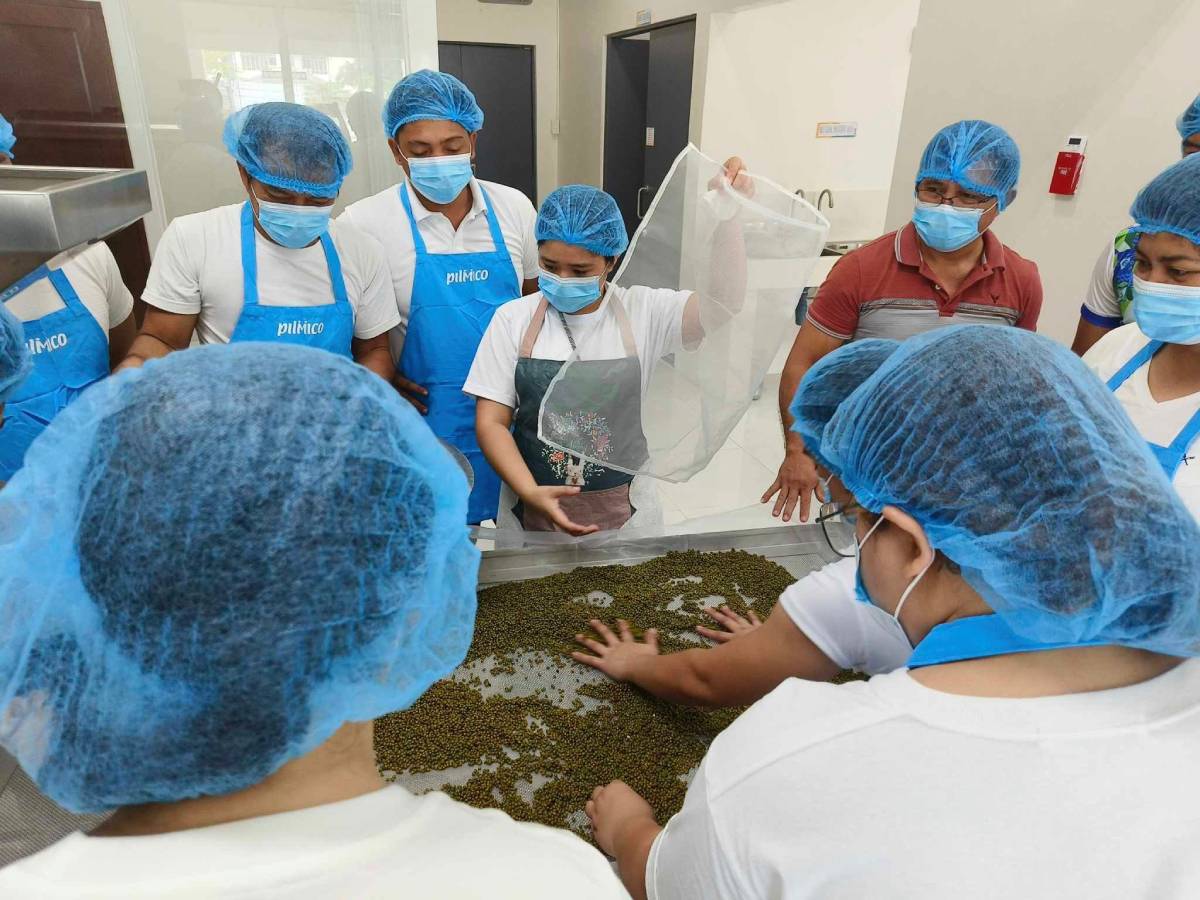 Locally made food blend to to fight child malnutrition