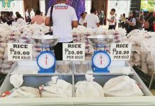 The P20 per kilo rice project will be available in selected barangays in Bacolod City this week. DA CENTRAL VISAYAS/FACEBOOK PHOTO