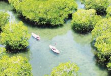 An undated drone shot of a scenic spot inside the Lapus Lapus-Macapagao Local Conservation Area in Sagay City, Negros Occidental. City tourism officer Helen Javier Arguelles said the Tourism Promotions Board Marketing Enhancement Program has helped increase awareness about the destination located within the 364-hectare protected area in Barangay Bulanon. PHOTO COURTESY OF SAGAY CITY INFORMATION AND TOURISM OFFICE