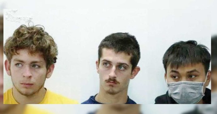 smuggling-ants Belgium nationals David Lornoy and Seppe Lodewijckx sit next to Vietnamese national Duh Hung Nyugen who is wearing a mask. The suspects pleaded guilty to smuggling ants in Kenya. REUTERS