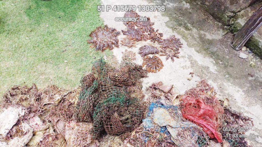 Aklan PENRO marks World Oceans Day with ‘SCUBAsurero’