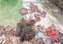 Aklan divers collect seven kilograms of waste, composed of fishnets, nylon, sacks, and PET bottles, during "SCUBAsurero", an underwater cleanup to reduce wastes entangled in coral reefs and lodged on the seabed, in Coral Garden, Barangay Jawili, Tangalan, Aklan, on June 6, 2025. PHOTO COURTESY OF DENR REGION 6