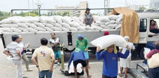 Sacks of well-milled rice are being prepared for the launching of the P20 per kilo rice project of the Department of Agriculture and Kadiwa ng Pangulo at Burgos Market in Bacolod City today, June 5, 2025. BACOLOD CITY PIO PHOTO