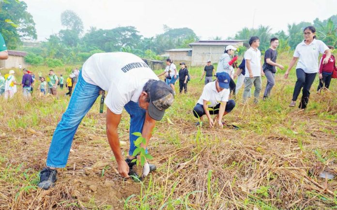 capiz_tree_planting_resized Hundreds of seedlings, including native fruit-bearing trees, were planted in Barangay Bag-ong Barrio, Tapaz, Capiz, on June 25, 2025. CAPIZ PROV’L GOV’T COMMUNICATIONS GROUP PHOTO