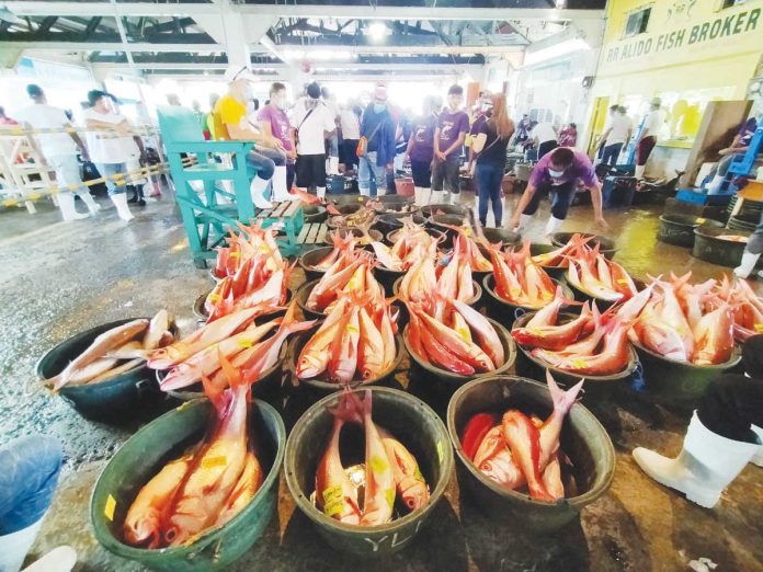 front_banner_pic_and_caption_resized BUCKETS OF BOUNTY. Freshly caught fish await auction at the Iloilo Fish Port Complex in Iloilo City — a vivid reminder of Western Visayas’ impressive 117% fish sufficiency rate. But fisheries officials warn: without stronger protection of marine habitats, this abundance may not last. The Iloilo Fish Port Complex is a major center for fish trading and marine product processing in the region. PN PHOTO