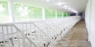 A newly built swine production facility under the Department of Agriculture – Region 6’s Integrated National Swine Production Initiatives for Recovery and Expansion Project in Barangay Guinobatan, New Lucena, Iloilo showcases modern pens designed to promote biosecure and sustainable hog farming practices. Photo of INSPIRE PROJECT from DA- Western Visayas