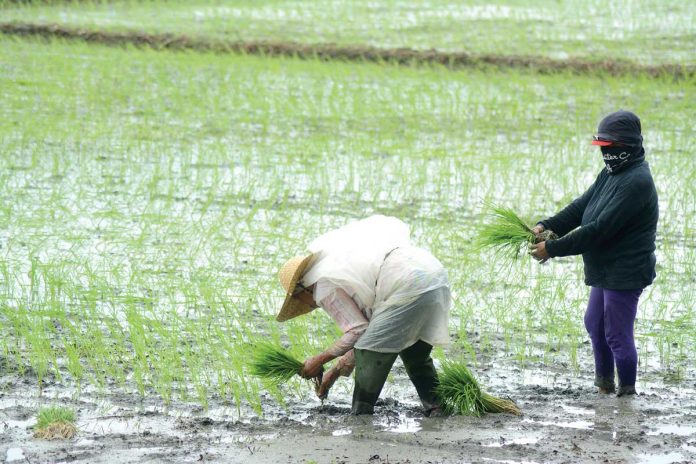 ime-agri-insurance-1