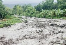 Kanlaon threatens lahar flows as ‘habagat’ brings heavy rains Photos from the Office Civil Defense - Western Visayas show rivers in La Castellana, Negros Occidental already carrying ash and mudflows, confirming the ongoing threat of Kanlaon volcano’s lahar as monsoon rains persist. ALVIN AMPARADO, OCD-6
