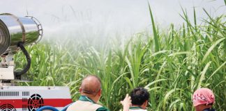 Agriculture Secretary Francisco Tiu Laurel Jr. observes the Department of Agriculture’s Mobile Disinfection Unit in action during a pesticide spraying operation in Bacolod City on June 5. The activity is part of intensified efforts to combat the Red-Striped Soft Scale Insect infestation in Negros Occidental sugarcane farms—an outbreak that has since spread to nearby Panay Island. DA-6 PHOTO