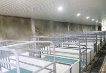 This newly constructed tunnel-ventilated hog housing under the Department of Agriculture Region 6’s ₱13-million swine recovery project is set to jumpstart local hog production and restore livelihoods of African Swine Fever-affected farmers in the municipality of Libacao, Aklan. PHOTO FROM DA-6