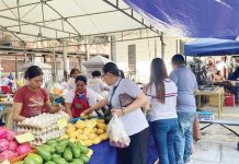 Shoppers flock to a Merkado Lokal pop-up stall in Iloilo City, buying fresh produce and homegrown goods — part of the city government’s initiative that helped generate over ₱5.6 million in sales in just five months. RADYO PILIPINAS ILOILO PHOTO