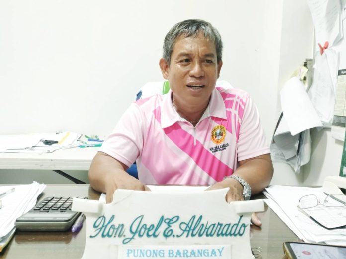 neljoy BSKE Alvarado βItβs actually better if the Barangay and sangguniang Kabataan elections are postponed,β says Barangay Captain Joel Alvarado of Bakhaw, Mandurriao, Iloilo City, adding that barangay officials would be given more time to finish several projects.