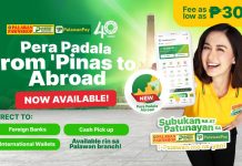 Global Remittance Made Easy with PalawanPay and Palawan Express Pera Padala — Affordable, Fast, and Hassle-Free