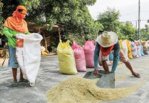 Minimum buying price for rice traders mulled The Department of Agriculture will possibly implement the “floor price” for palay before the end of the year. ABS-CBN NEWS FILE PHOTO